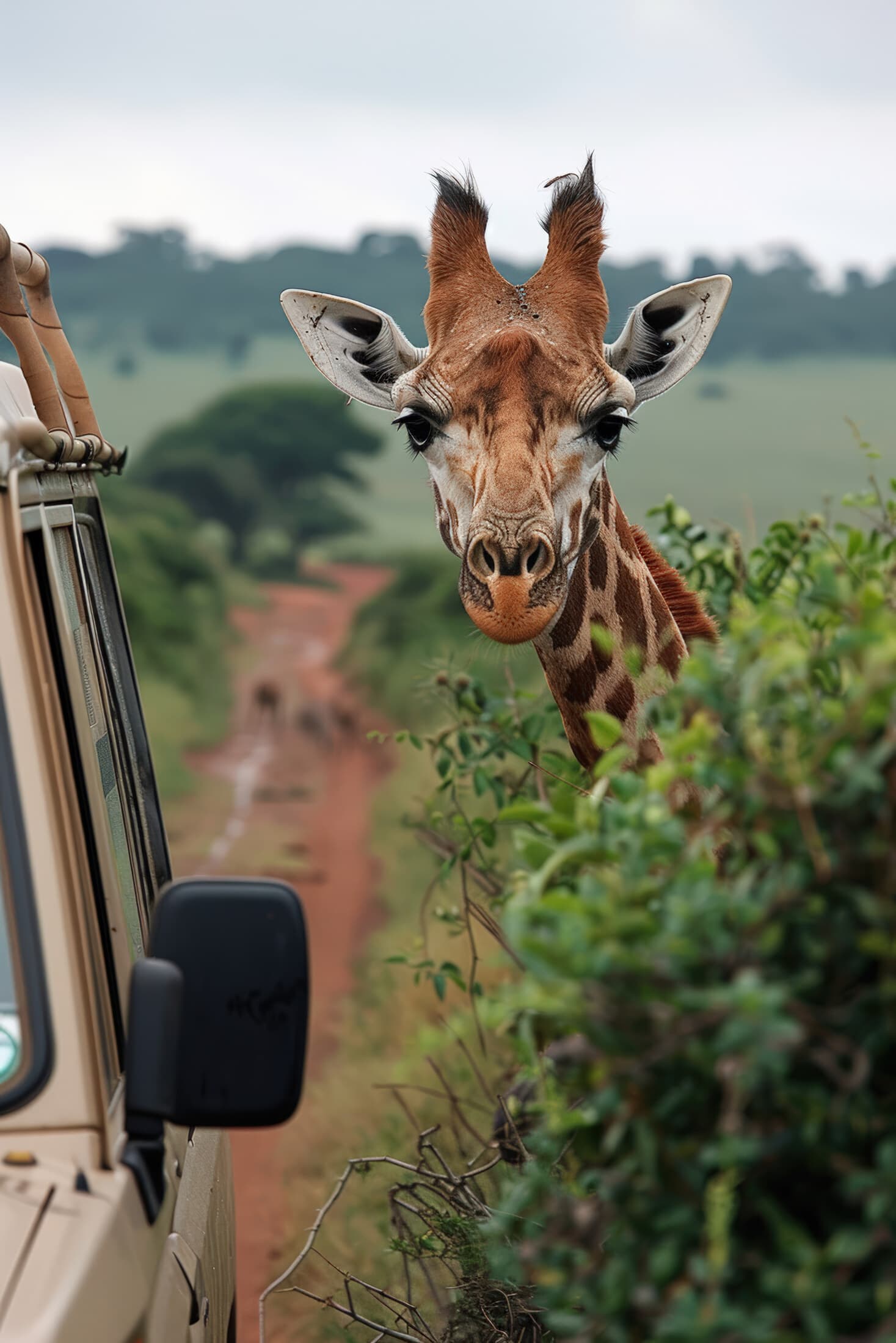 4 Day Safari